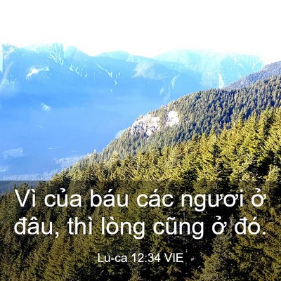 Picture 03 - Lu-ca 12:34 VIE - Vì của báu các ngươi ở đâu, thì lòng - Bible Verse Picture