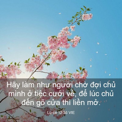 Picture 03 - Lu-ca 12:36 VIE - Hãy làm như người chờ đợi chủ mình - Bible Verse Picture