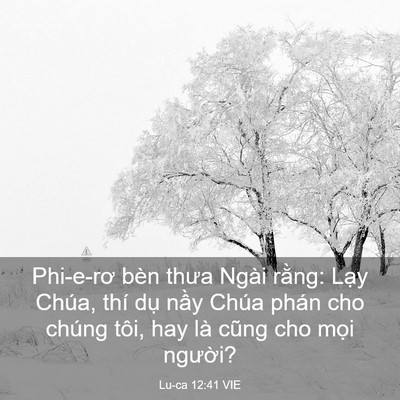Picture 03 - Lu-ca 12:41 VIE - Phi-e-rơ bèn thưa Ngài rằng: Lạy Chúa, - Bible Verse Picture
