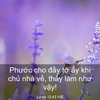 Picture 03 - Lu-ca 12:43 VIE - Phước cho đầy tớ ấy khi chủ nhà - Bible Verse Picture