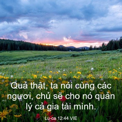 Picture 03 - Lu-ca 12:44 VIE - Quả thật, ta nói cùng các ngươi, chủ - Bible Verse Picture