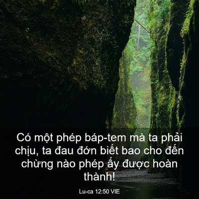 Picture 03 - Lu-ca 12:50 VIE - Có một phép báp-tem mà ta phải chịu, ta - Bible Verse Picture