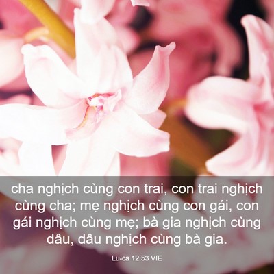 Picture 03 - Lu-ca 12:53 VIE - cha nghịch cùng con trai, con trai nghịch - Bible Verse Picture