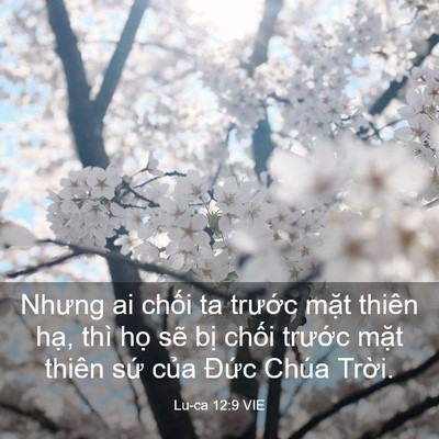 Picture 03 - Lu-ca 12:9 VIE - Nhưng ai chối ta trước mặt thiên hạ, - Bible Verse Picture