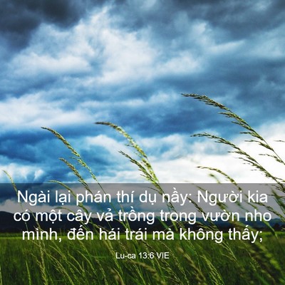 Picture 03 - Lu-ca 13:6 VIE - Ngài lại phán thí dụ nầy: Người kia - Bible Verse Picture