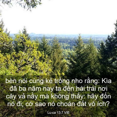 Picture 03 - Lu-ca 13:7 VIE - bèn nói cùng kẻ trồng nho rằng: Kìa - Bible Verse Picture