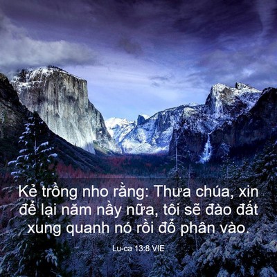 Picture 03 - Lu-ca 13:8 VIE - Kẻ trồng nho rằng: Thưa chúa, xin để - Bible Verse Picture