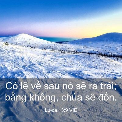 Picture 03 - Lu-ca 13:9 VIE - Có lẽ về sau nó sẽ ra trái; bằng - Bible Verse Picture