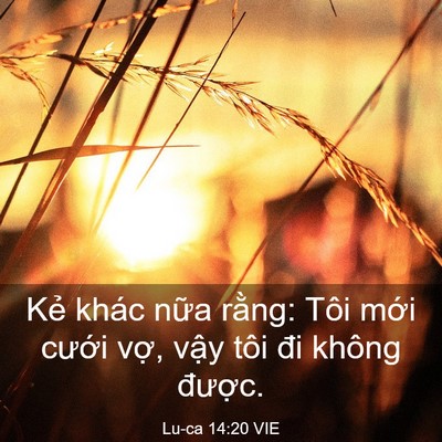 Picture 03 - Lu-ca 14:20 VIE - Kẻ khác nữa rằng: Tôi mới cưới vợ, - Bible Verse Picture