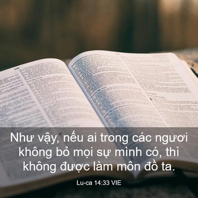 Picture 03 - Lu-ca 14:33 VIE - Như vậy, nếu ai trong các ngươi không - Bible Verse Picture