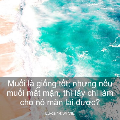 Picture 03 - Lu-ca 14:34 VIE - Muối là giống tốt; nhưng nếu muối - Bible Verse Picture