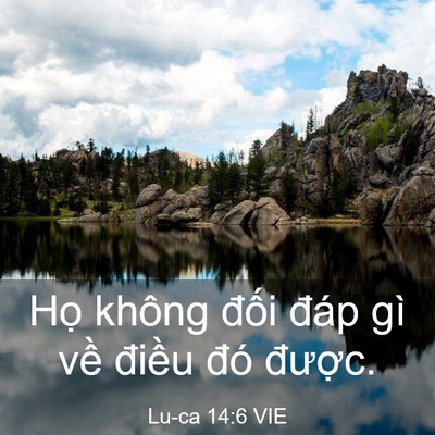 Picture 03 - Lu-ca 14:6 VIE - Họ không đối đáp gì về điều đó - Bible Verse Picture