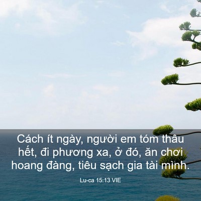 Picture 03 - Lu-ca 15:13 VIE - Cách ít ngày, người em tóm thâu hết, - Bible Verse Picture