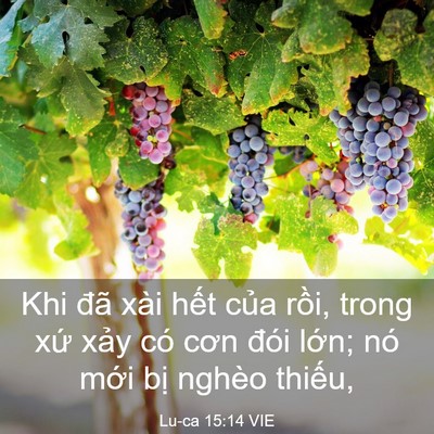 Picture 03 - Lu-ca 15:14 VIE - Khi đã xài hết của rồi, trong xứ xảy - Bible Verse Picture