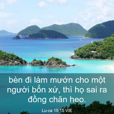 Picture 03 - Lu-ca 15:15 VIE - bèn đi làm mướn cho một người bổn - Bible Verse Picture