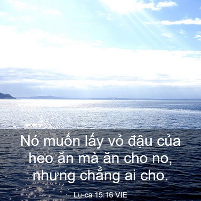 Picture 03 - Lu-ca 15:16 VIE - Nó muốn lấy vỏ đậu của heo ăn mà - Bible Verse Picture