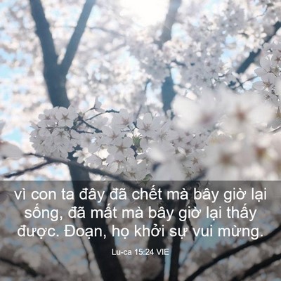 Picture 03 - Lu-ca 15:24 VIE - vì con ta đây đã chết mà bây giờ lại - Bible Verse Picture