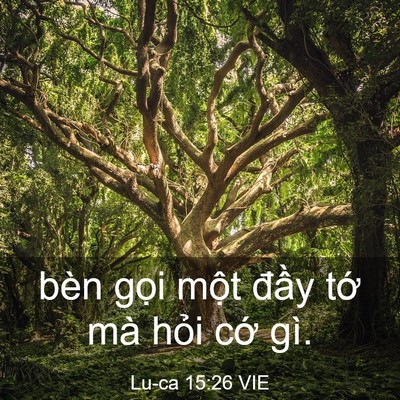 Picture 03 - Lu-ca 15:26 VIE - bèn gọi một đầy tớ mà hỏi cớ - Bible Verse Picture