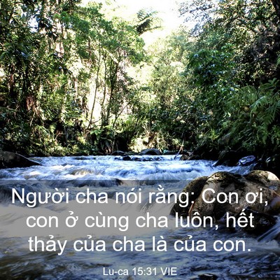 Picture 03 - Lu-ca 15:31 VIE - Người cha nói rằng: Con ơi, con ở cùng - Bible Verse Picture