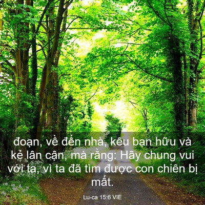 Picture 03 - Lu-ca 15:6 VIE - đoạn, về đến nhà, kêu bạn hữu và - Bible Verse Picture