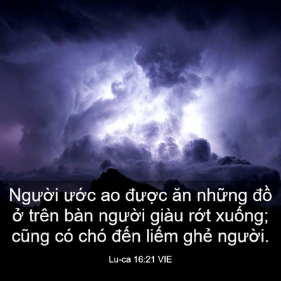 Picture 03 - Lu-ca 16:21 VIE - Người ước ao được ăn những đồ ở - Bible Verse Picture