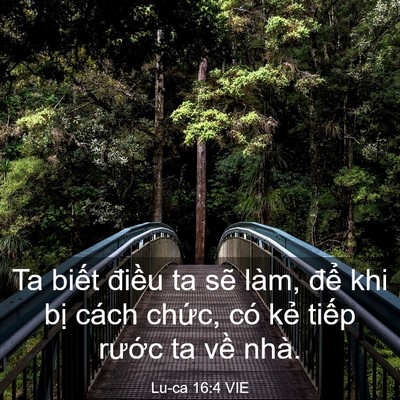Picture 03 - Lu-ca 16:4 VIE - Ta biết điều ta sẽ làm, để khi bị - Bible Verse Picture