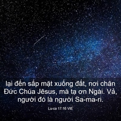 Picture 03 - Lu-ca 17:16 VIE - lại đến sấp mặt xuống đất, nơi - Bible Verse Picture