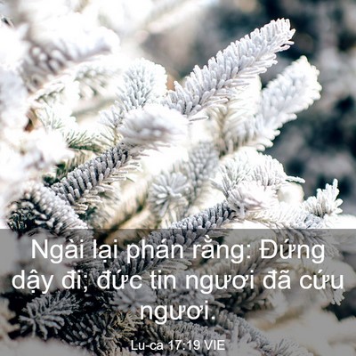 Picture 03 - Lu-ca 17:19 VIE - Ngài lại phán rằng: Đứng dậy đi; - Bible Verse Picture