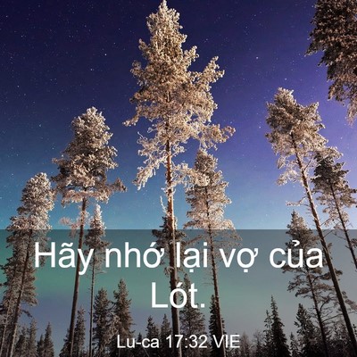 Picture 03 - Lu-ca 17:32 VIE - Hãy nhớ lại vợ của - Bible Verse Picture