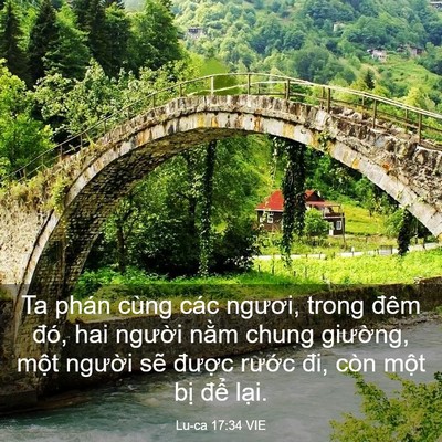 Picture 03 - Lu-ca 17:34 VIE - Ta phán cùng các ngươi, trong đêm đó, - Bible Verse Picture