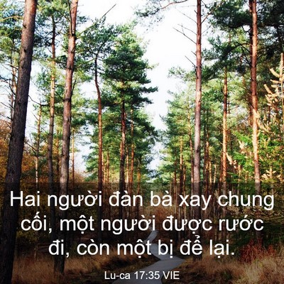 Picture 03 - Lu-ca 17:35 VIE - Hai người đàn bà xay chung cối, một - Bible Verse Picture