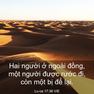Picture 03 - Lu-ca 17:36 VIE - Hai người ở ngoài đồng, một người - Bible Verse Picture