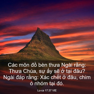 Picture 03 - Lu-ca 17:37 VIE - Các môn đồ bèn thưa Ngài rằng: Thưa - Bible Verse Picture