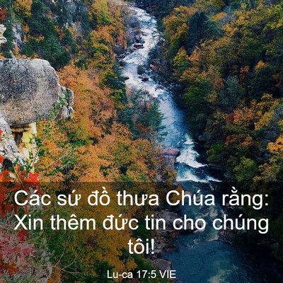 Picture 03 - Lu-ca 17:5 VIE - Các sứ đồ thưa Chúa rằng: Xin thêm - Bible Verse Picture