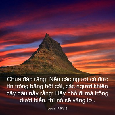 Picture 03 - Lu-ca 17:6 VIE - Chúa đáp rằng: Nếu các ngươi có đức - Bible Verse Picture