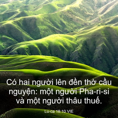 Picture 03 - Lu-ca 18:10 VIE - Có hai người lên đền thờ cầu - Bible Verse Picture