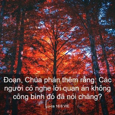 Picture 03 - Lu-ca 18:6 VIE - Đoạn, Chúa phán thêm rằng: Các ngươi - Bible Verse Picture