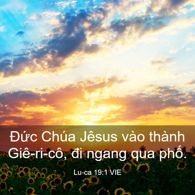 Picture 03 - Lu-ca 19:1 VIE - Đức Chúa Jêsus vào thành Giê-ri-cô, đi - Bible Verse Picture