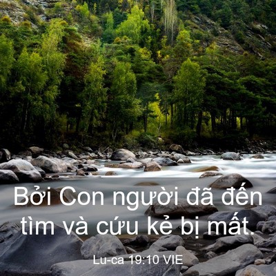 Picture 03 - Lu-ca 19:10 VIE - Bởi Con người đã đến tìm và cứu - Bible Verse Picture