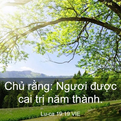 Picture 03 - Lu-ca 19:19 VIE - Chủ rằng: Ngươi được cai trị năm - Bible Verse Picture