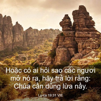 Picture 03 - Lu-ca 19:31 VIE - Hoặc có ai hỏi sao các ngươi mở nó ra, - Bible Verse Picture