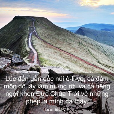 Picture 03 - Lu-ca 19:37 VIE - Lúc đến gần dốc núi ô-li-ve, cả đám - Bible Verse Picture