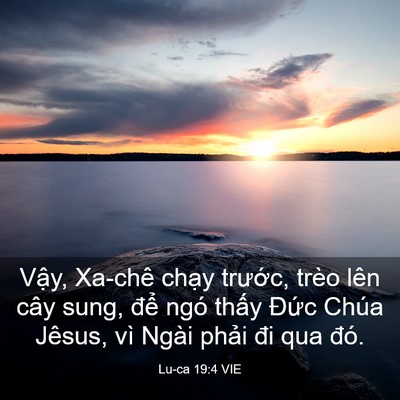 Picture 03 - Lu-ca 19:4 VIE - Vậy, Xa-chê chạy trước, trèo lên cây - Bible Verse Picture