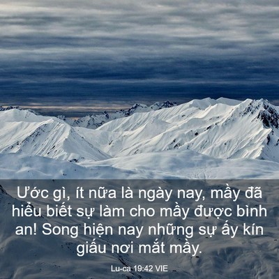 Picture 03 - Lu-ca 19:42 VIE - Ước gì, ít nữa là ngày nay, mầy đã - Bible Verse Picture