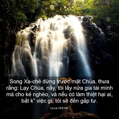 Picture 03 - Lu-ca 19:8 VIE - Song Xa-chê đứng trước mặt Chúa, thưa - Bible Verse Picture