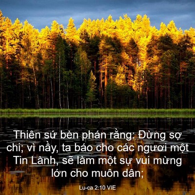 Picture 03 - Lu-ca 2:10 VIE - Thiên sứ bèn phán rằng: Đừng sợ chi; - Bible Verse Picture