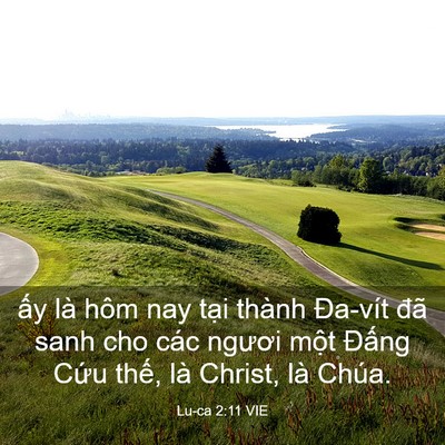 Picture 03 - Lu-ca 2:11 VIE - ấy là hôm nay tại thành Đa-vít đã sanh - Bible Verse Picture
