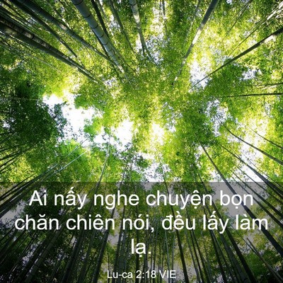 Picture 03 - Lu-ca 2:18 VIE - Ai nấy nghe chuyện bọn chăn chiên nói, - Bible Verse Picture