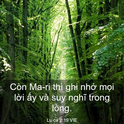 Picture 03 - Lu-ca 2:19 VIE - Còn Ma-ri thì ghi nhớ mọi lời ấy và - Bible Verse Picture