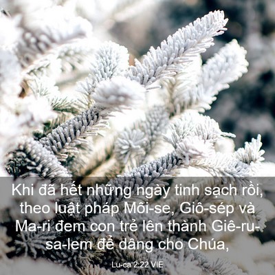Picture 03 - Lu-ca 2:22 VIE - Khi đã hết những ngày tinh sạch rồi, - Bible Verse Picture